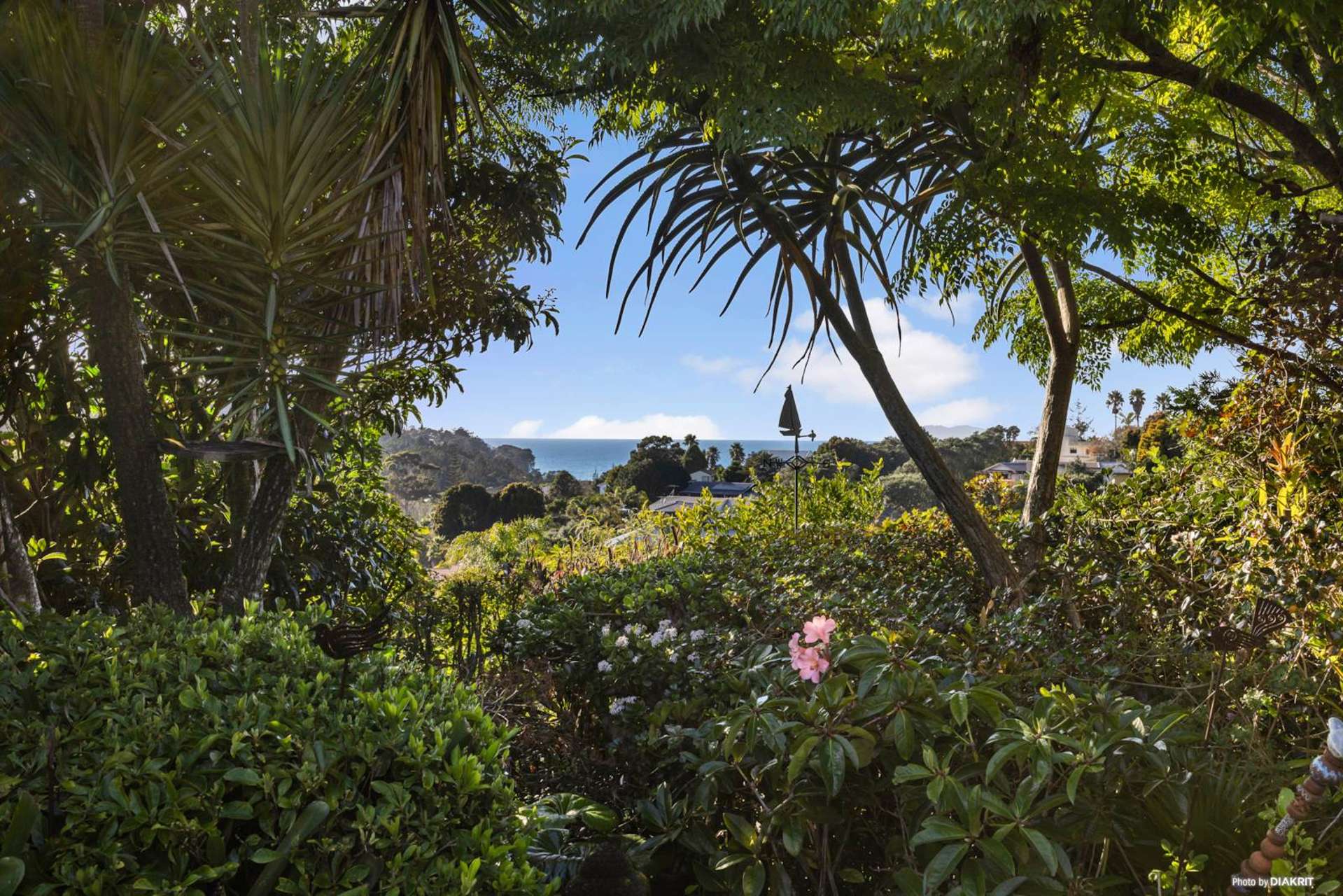 3 Rakau Views Orewa_0