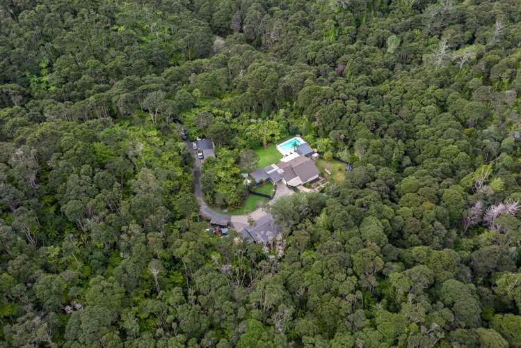 126a Foley Quarry Road Dairy Flat_15