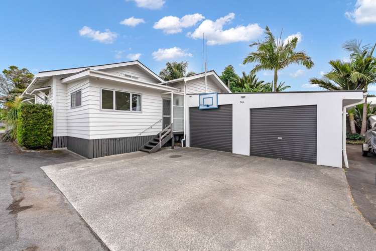 14A Mains Avenue Kensington_19