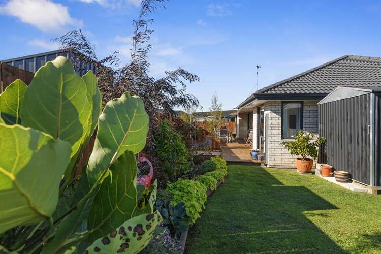 13 Fernbird Avenue Te Kauwhata_7