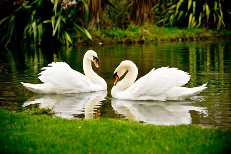 214 Englishs Road Lincoln_23