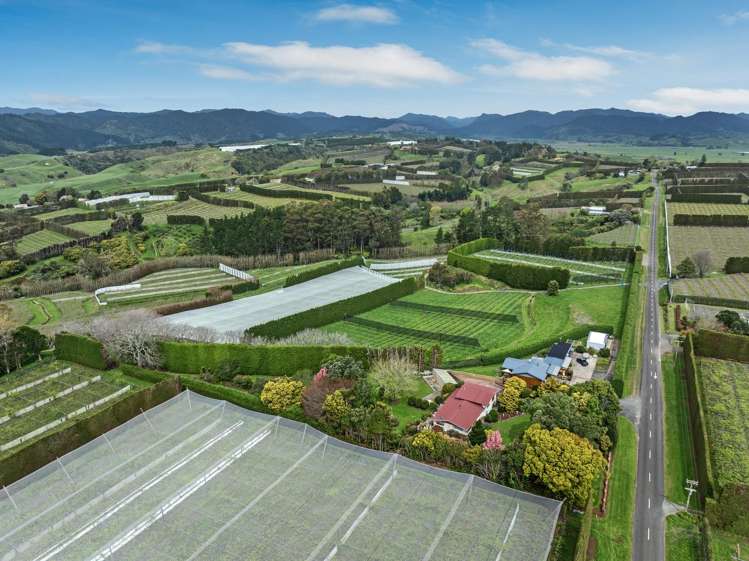 187 Tablelands Road Tirohanga_35