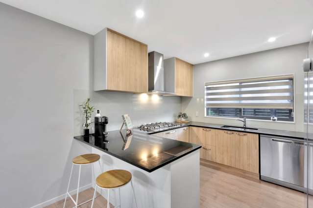 9b Mcquoids Road Flat Bush_1