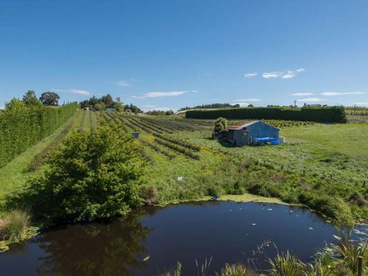 1 Apple Valley Road East Mahana_13