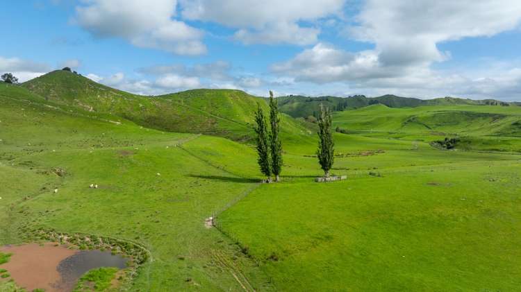 1163 Mangamako Road Ohingaiti_28