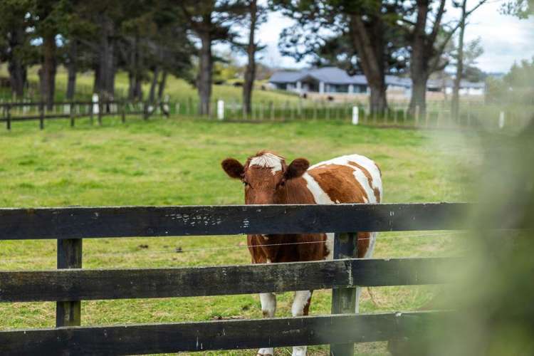 21 Glenn Street Castlecliff_2