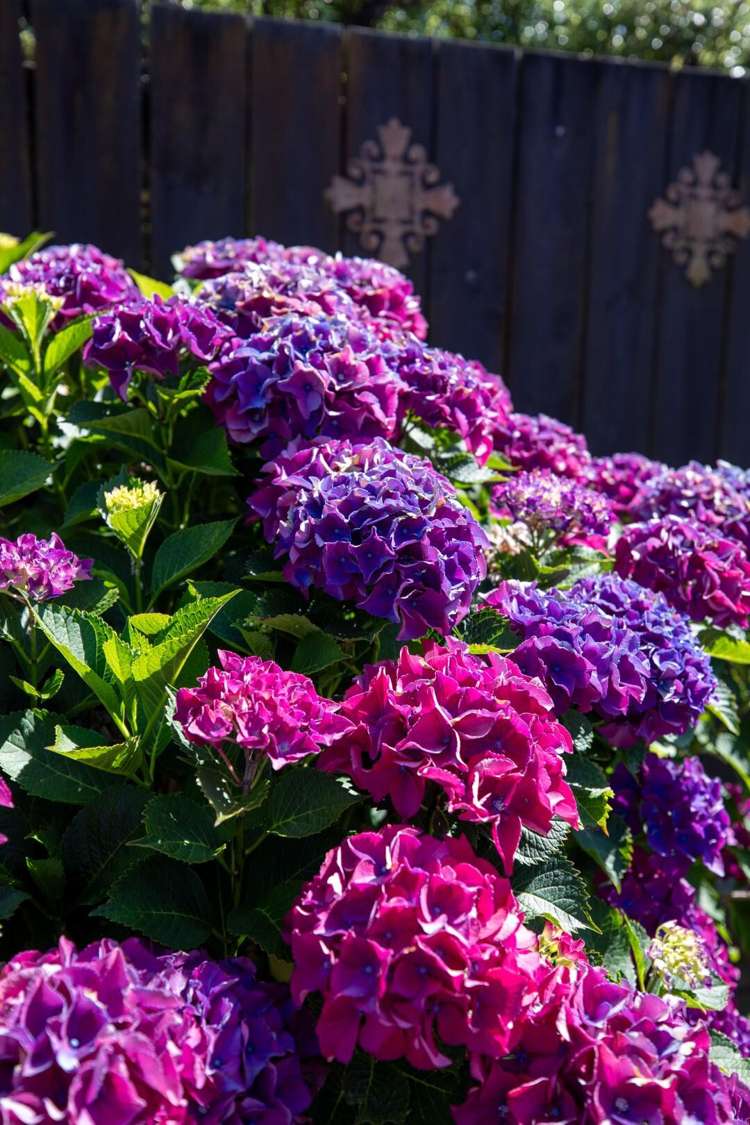 2 Glencoe Court Pyes Pa_17