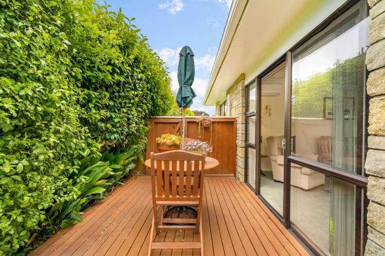 12 Frederick Street Avalon_16