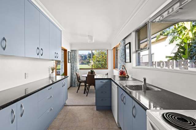 44 Alpers Terrace Marewa_2