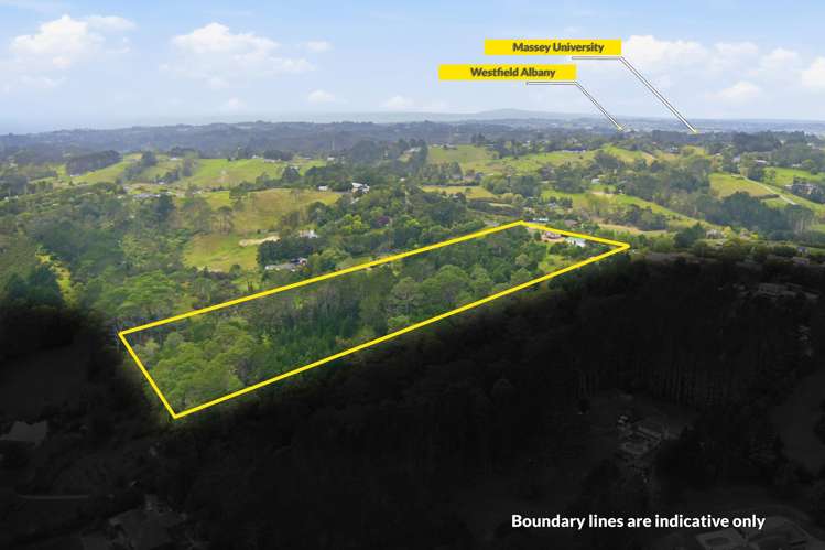 66 Potter Road Dairy Flat_6