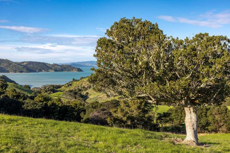 59 Waimangu Road Waiheke Island_12