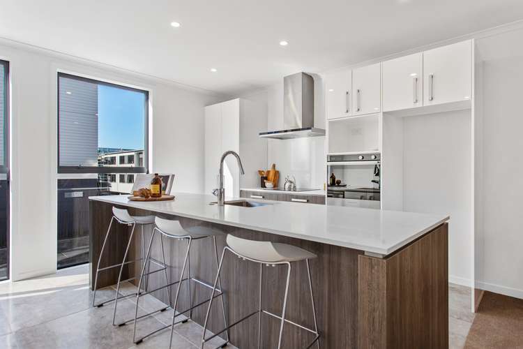 16 Percy Winstone Lane Stonefields_2