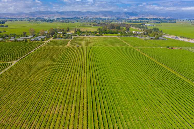 33 Rapaura Road Rapaura_3