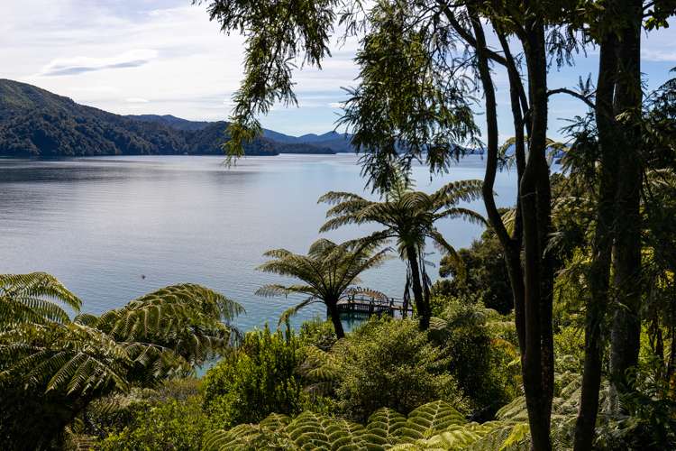 2047 Queen Charlotte Drive Anakiwa and Surrounds_17