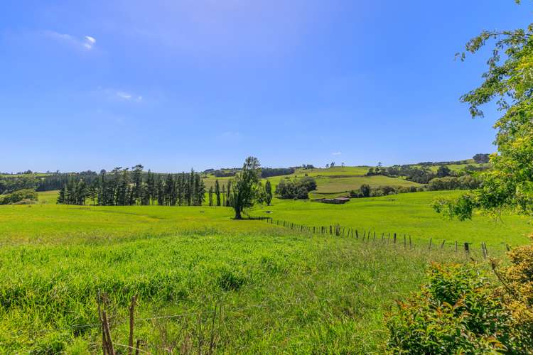 338 Rodney Street Wellsford_11