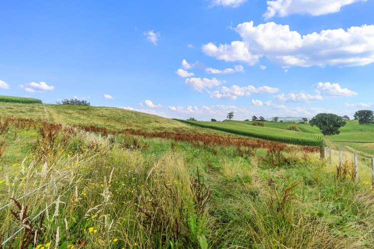 Lot Lot 4 Tapapa Road West Tirau_4