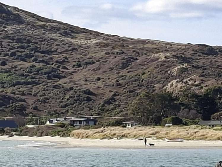 903 Harington Point Road_5