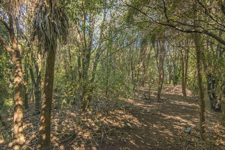 13 Poulson Street Addington_7