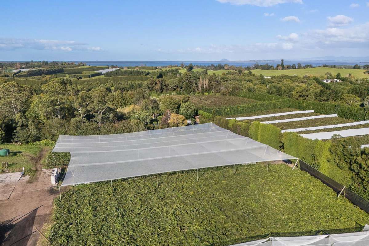 416 State Highway 2_1