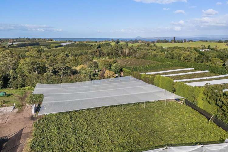 416 State Highway 2 Katikati_5