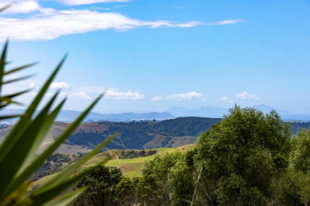 218 Govan Wilson Road Matakana_3