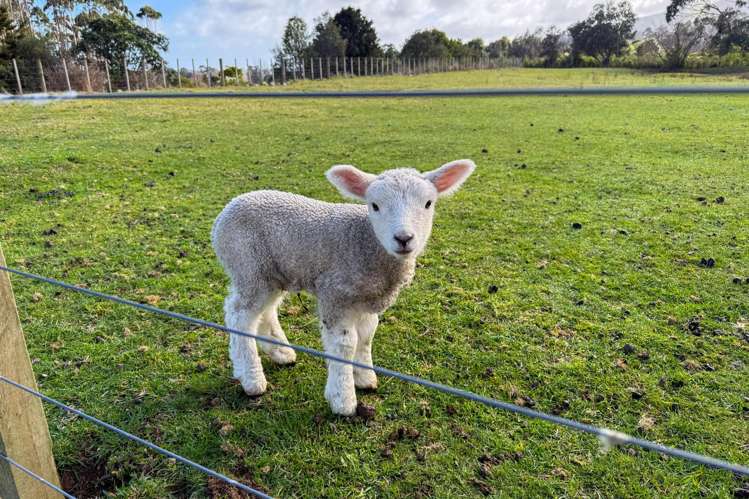 76 Parenga Road Te Horo_28