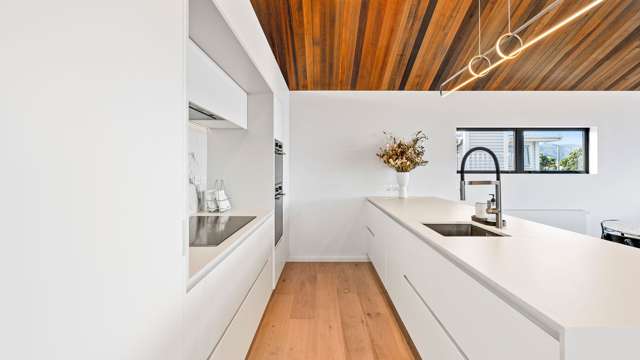 239 The Esplanade Petone_4