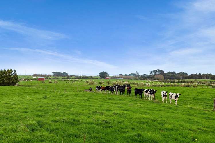 294 Kiri Road Te Kiri_34