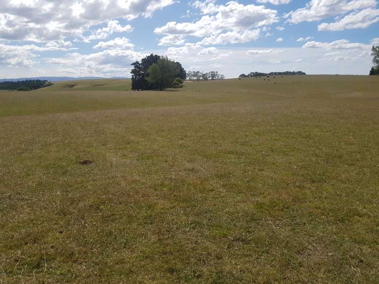 259 Baverstock Road Clinton and Surrounds_19