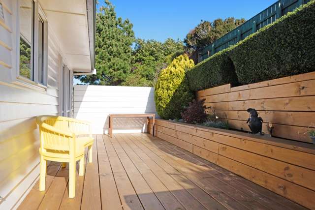 47 Revans Street Miramar_2