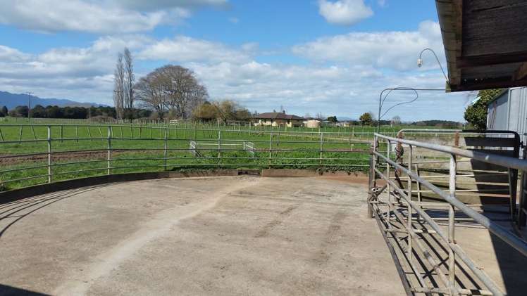 Morrinsville-Tahuna Road Morrinsville_5