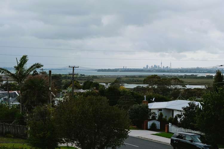 46D Tiroroa Avenue 1802_18