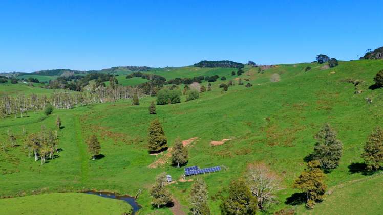 246 Allen and Eyre Road Onewhero_11