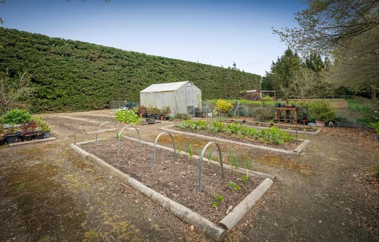 87 Halkett Road West Melton_27