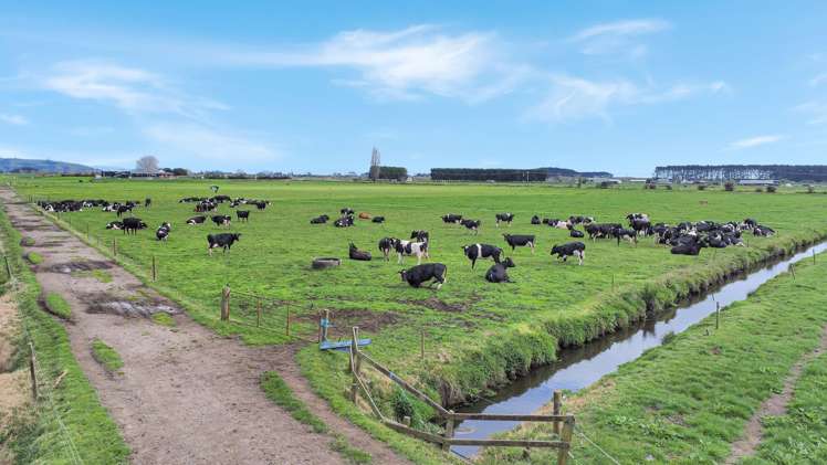 329 Kaituna Road Paengaroa_24