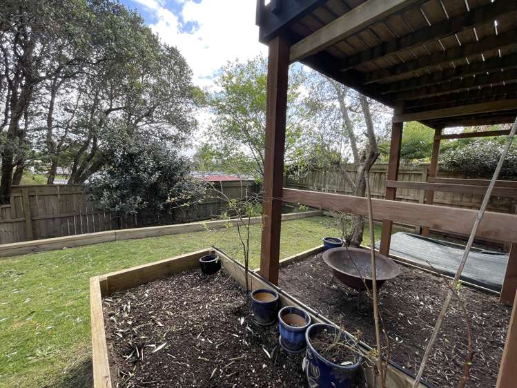 16B Manson Street Greerton_33