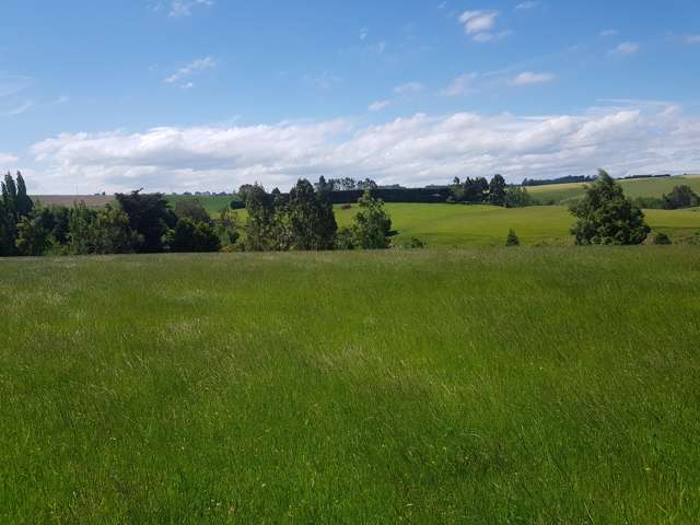 Four Mile Creek Road Balclutha_2