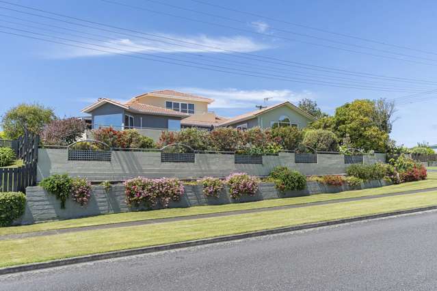 50 Leslie Street Waitara_1