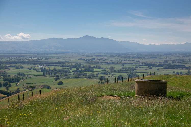 320 Waiti Road Tahuna_17