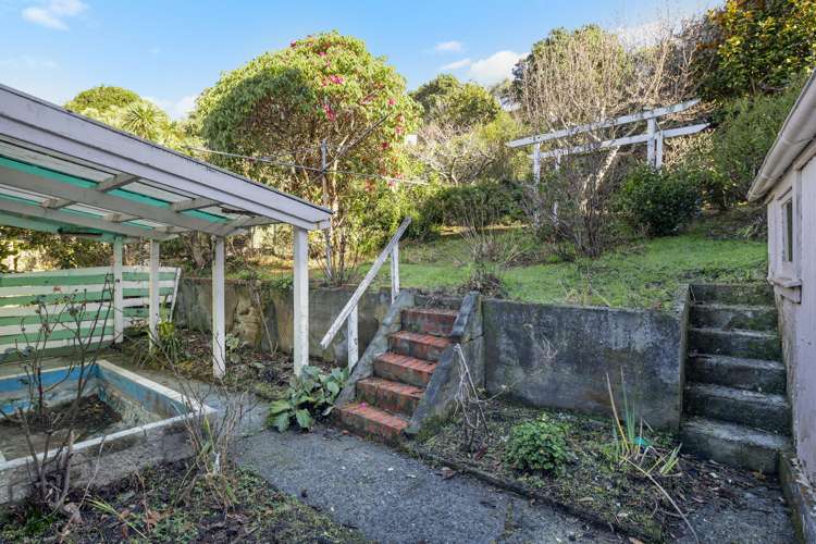 14 Mccoll Street Vogeltown_15