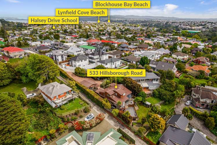 533 Hillsborough Road Mount Roskill_29