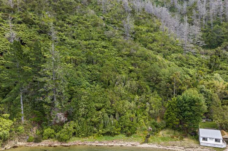 Lot 1 Te Iro Bay Arapaoa Island_8