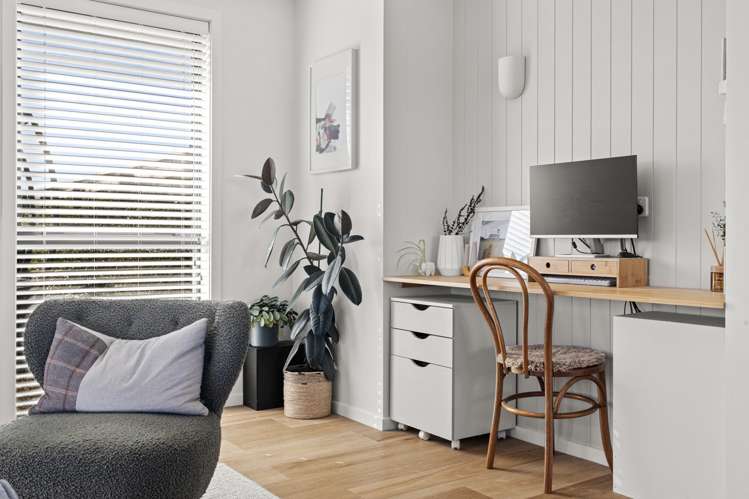 39 George Street Bulls_13