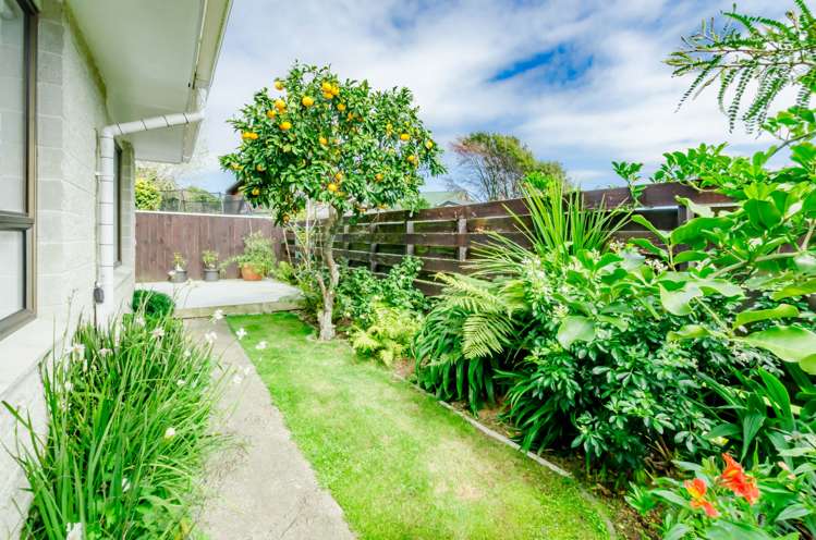 6a Rewarewa Crescent Waikanae_16