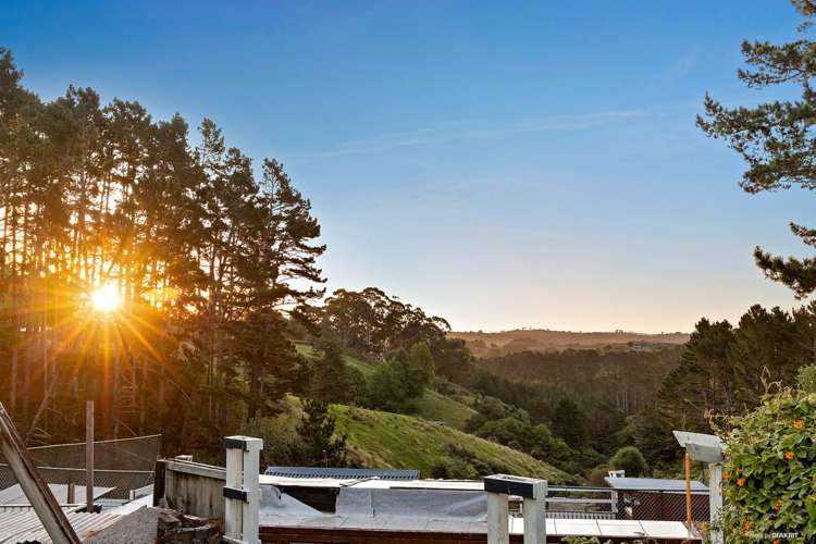 194 Ara-Kotinga Whitford_0