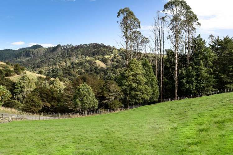 473A Waingaro Road Ngaruawahia_25