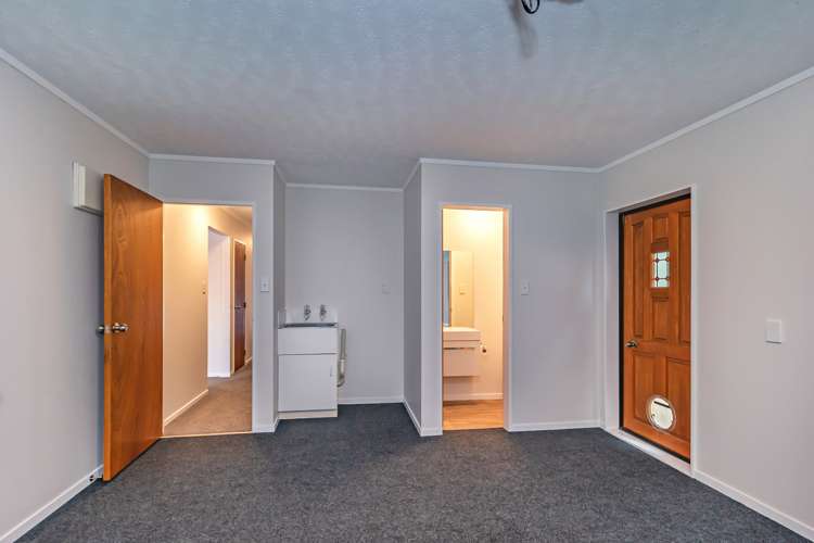 161A Bath Street Levin_10