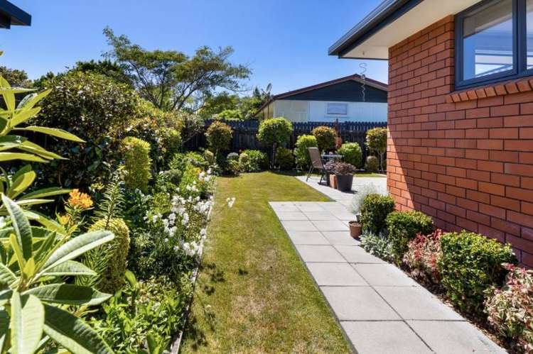 105 Wither Road Witherlea_7