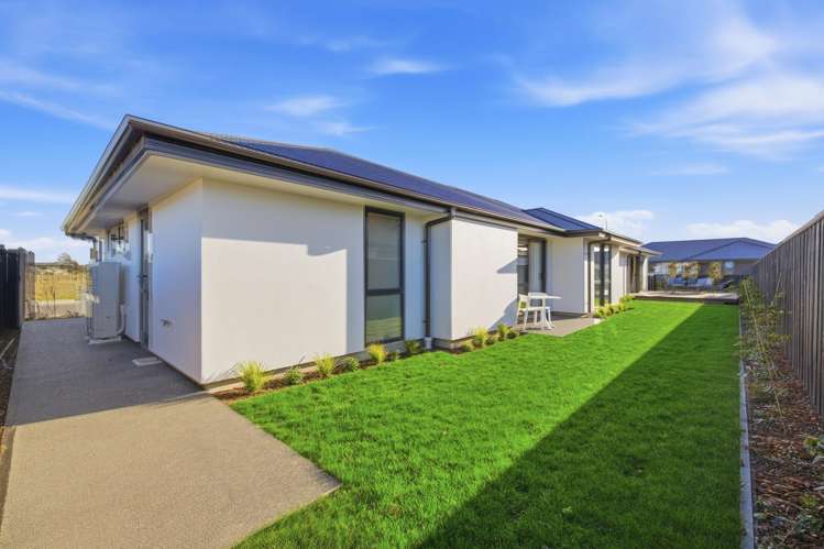 34 Stackwood Avenue Ravenswood_22