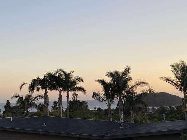 Lot 6 409 The Drive Whangamata_2